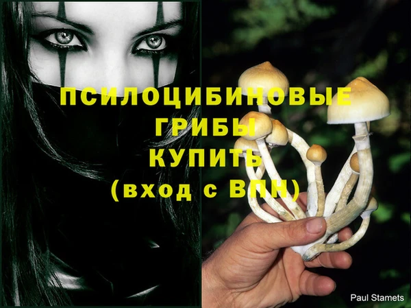 гидра Аркадак