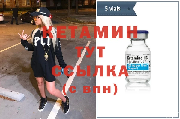 сатива Армянск